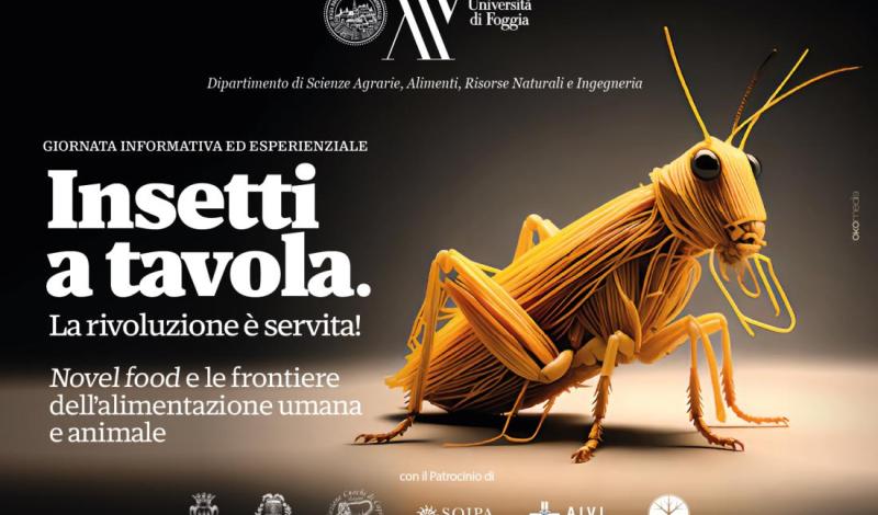 Insetti a tavola