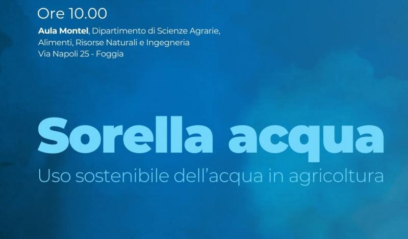 convegno sorella acqua