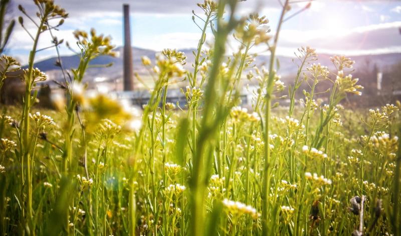 Unifg e Eni Rewind: gli studenti del DAFNE in visita al sito ex Anic di Manfredonia